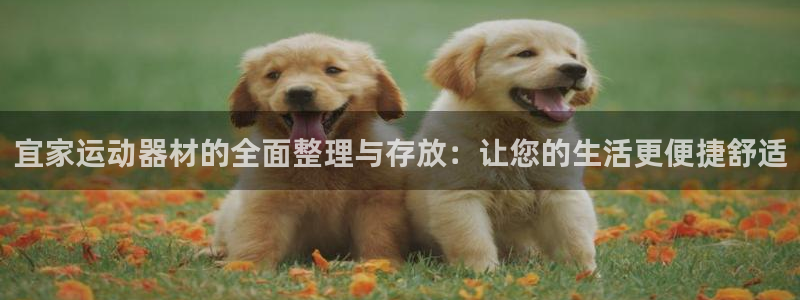 九游体育官方正版app集团：宜家运动器材的全面整理与存放：让
