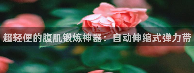 九游体育官网下载招商电话号码查询是多少：超轻便的腹肌锻炼神器