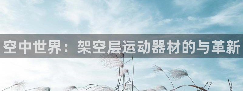 九游体育官网下载是干嘛的公司：空中世界：架空层运动器材的与革