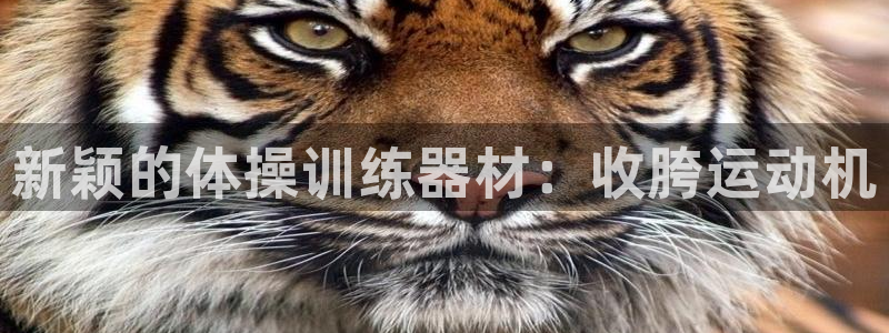 九游体育官网下载招商电话是多少啊：新颖的体操训练器材：收胯运