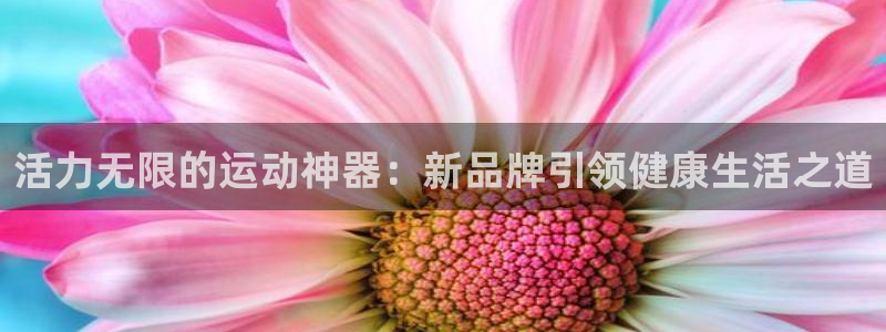 九游体育官方正版app官方：活力无限的运动神器：新品牌引领健