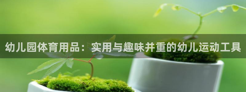 注册九游体育官方正版app：幼儿园体育用品：实用与趣味并重的
