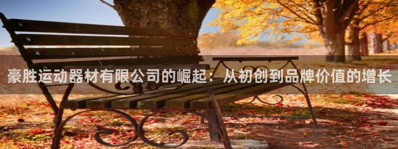 九游体育官方正版app娱乐网站：豪胜运动器材有限公司