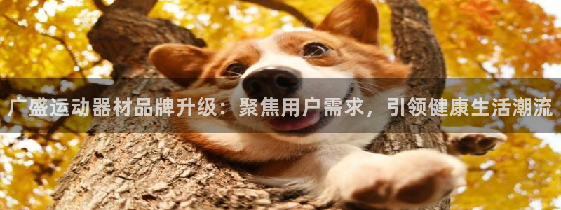 九游体育官方正版app娱乐是那个系列的台子：广盛运动