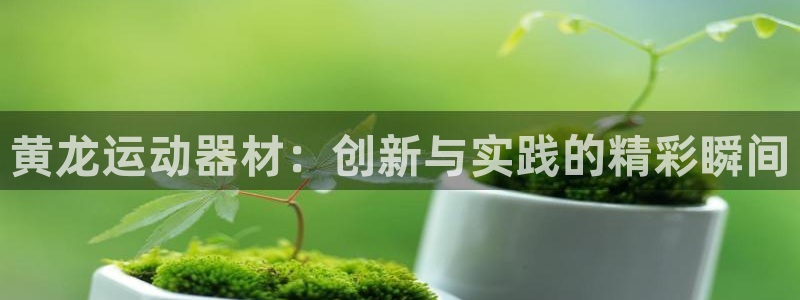 九游体育官方正版app新能源：黄龙运动器材：创新与实践的精彩