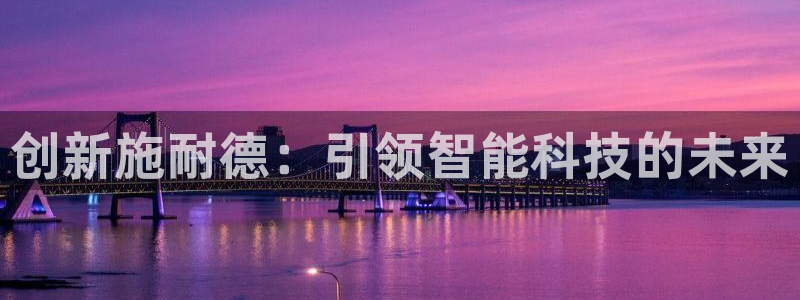 九游体育官网下载软件：创新施耐德：引领智能科技的未来