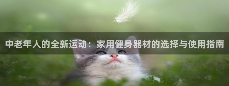 九游体育官方正版app集团：中老年人的全新运动：家用健身器材