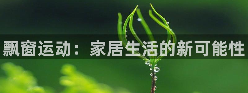 九游体育官网下载招商电话地址查询：飘窗运动：家居生活的新可能