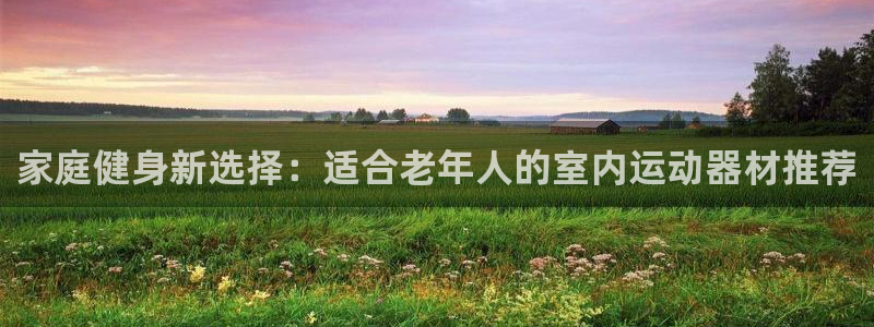 九游体育官方正版app娱乐：家庭健身新选择：适合老年人的室内