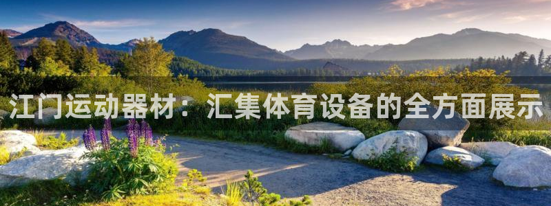 九游体育官方正版app娱乐代理怎么样：江门运动器材：汇集体育