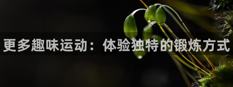 九游体育官方正版app娱乐网站：更多趣味运动：体验独特的锻炼