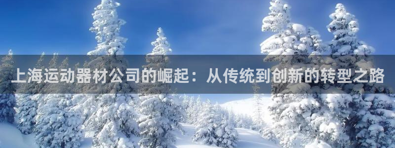 九游体育官方正版app娱乐是那个系列的台子：上海运动器材公司
