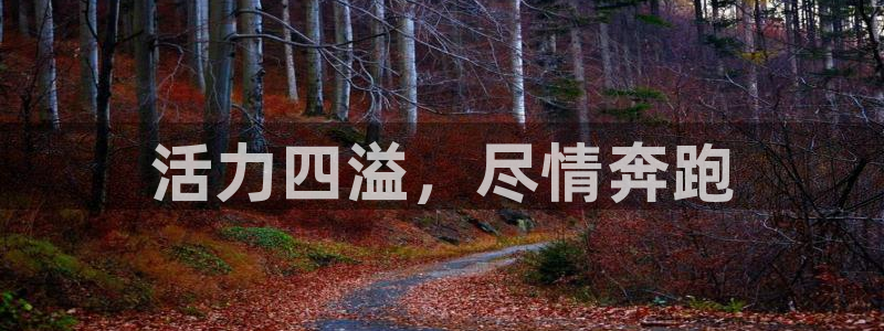 菲律宾ug环球官网：活力四溢，尽情奔跑