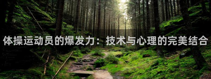 ug环球官网：体操运动员的爆发力：技术与心理的完美结合