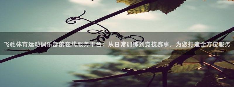 ug环球官网：飞驰体育运动俱乐部的在线服务平台：从日常训练到竞技赛事，为您打造全方位服务
