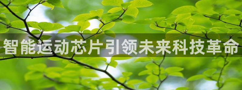 ug环球官网注册：智能运动芯片引领未来科技革命