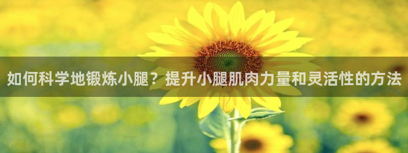 ug环球官网：如何科学地锻炼小腿？提升小腿肌肉力量和灵活性的方法