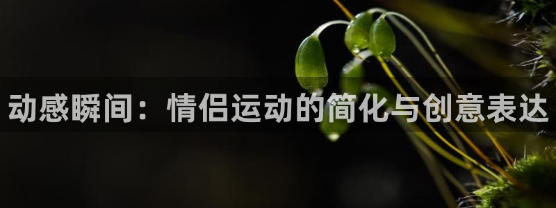 ug环球官网：动感瞬间：情侣运动的简化与创意表达