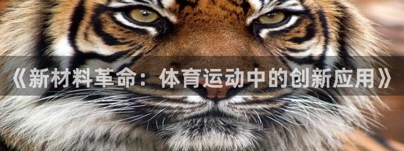 ug环球官网注册：《新材料革命：体育运动中的创新应用》